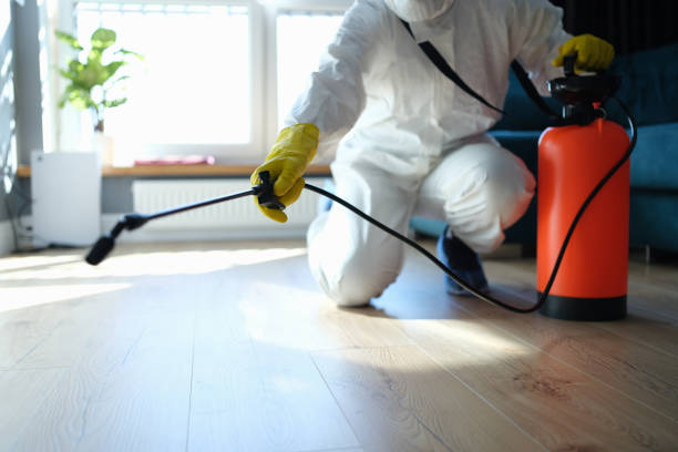 Reliable Odor Removal contractor in Silver Spring, MD by Crime Scene Cleaner Online